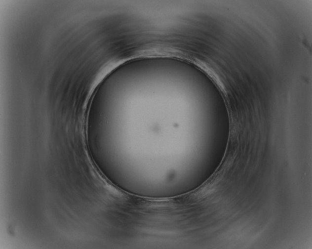 X0000091941486200709191410