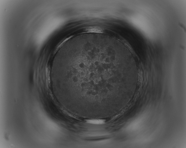 X0000091941487200709191410