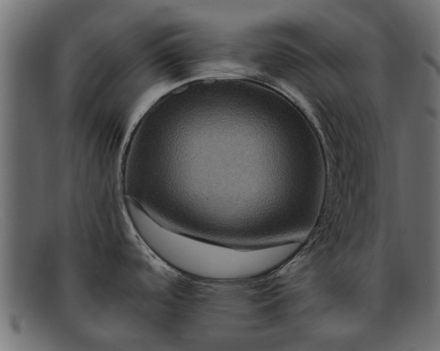 X0000091941488200709191410