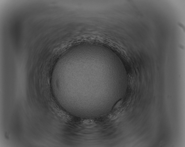 X0000091941489200709191409