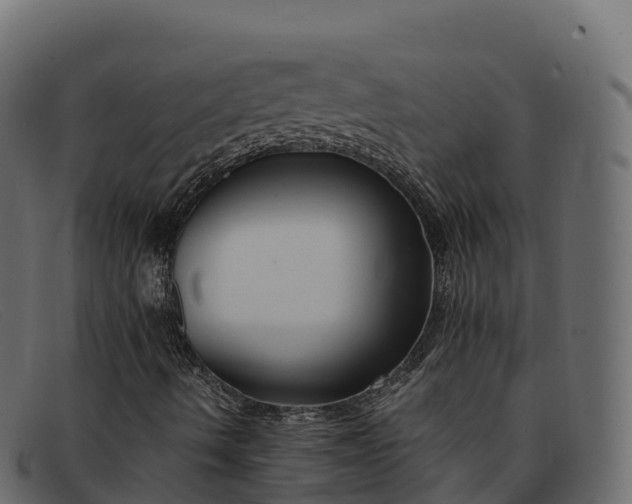 X0000091941490200709191409