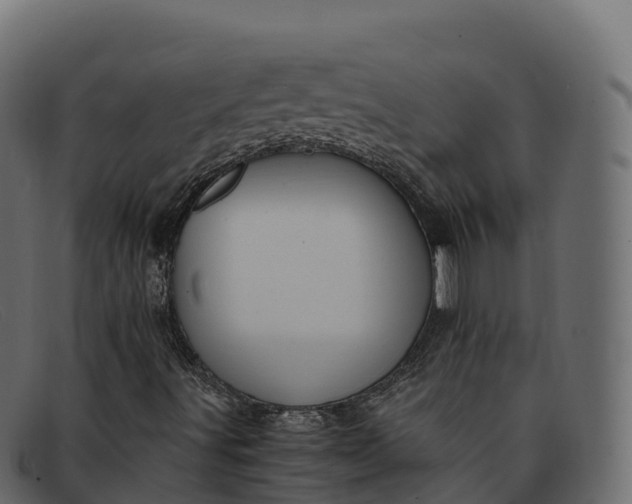 X0000091941491200709191409