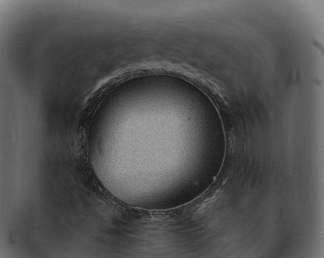 X0000091941494200709191409