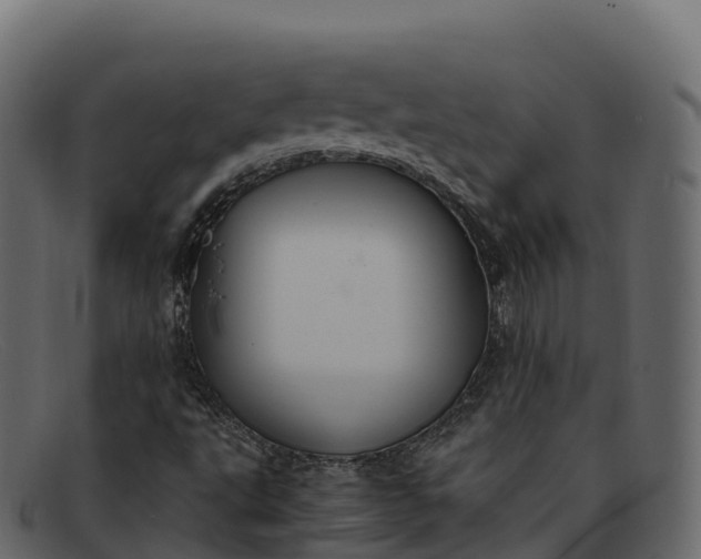 X0000091941495200709191409