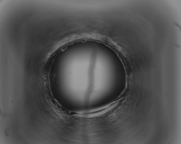 X0000091941496200709191409