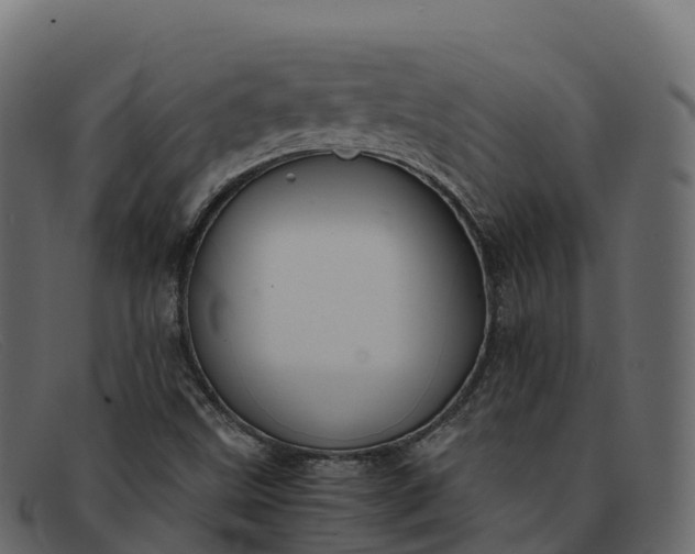 X0000091941499200709191409