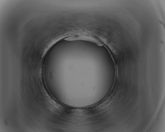 X0000091941500200709191409