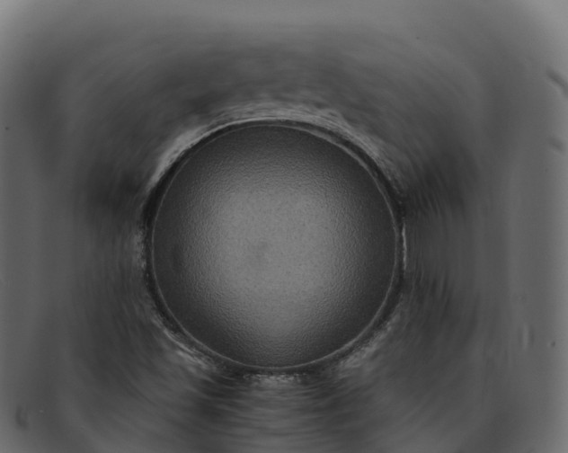 X0000091941501200709191409