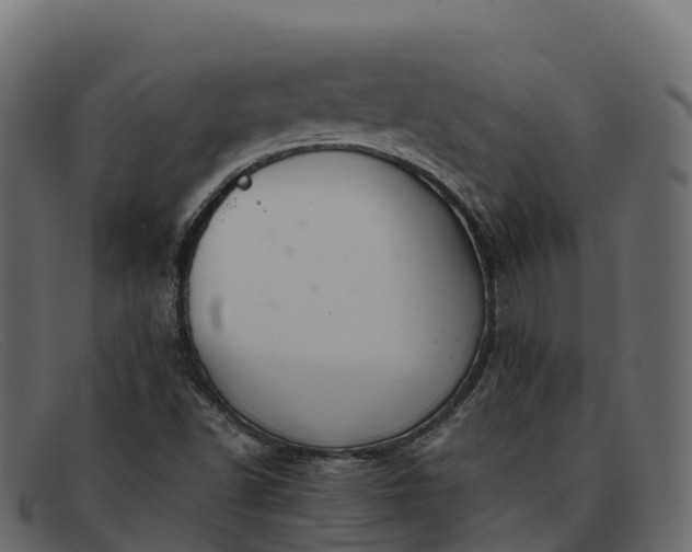 X0000091941502200709191409