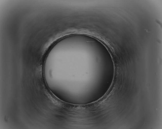 X0000091941503200709191409