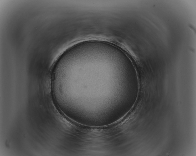 X0000091941504200709191409