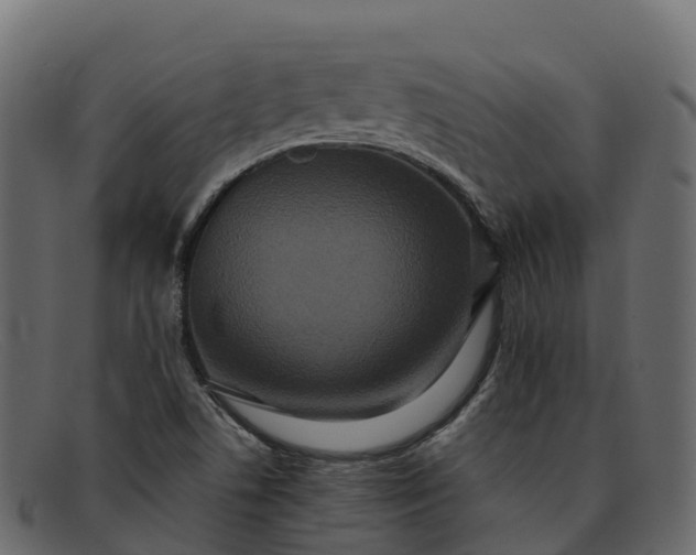 X0000091941506200709191410