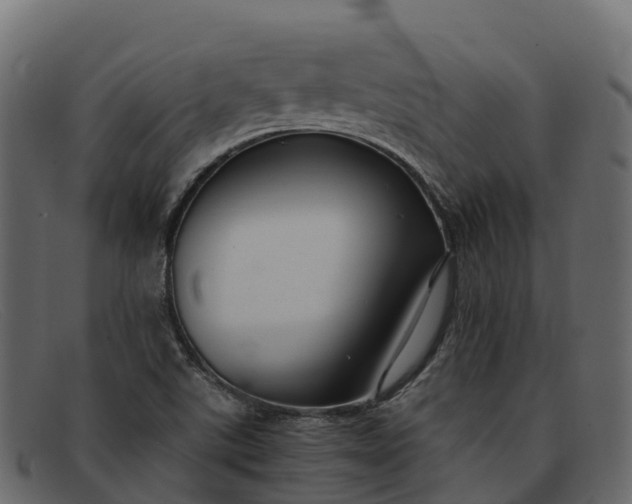 X0000091941507200709191410