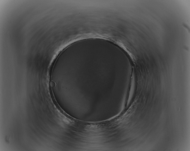 X0000091941508200709191410