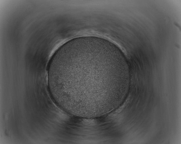 X0000091941509200709191410