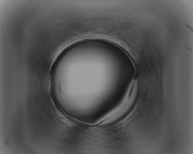 X0000091941511200709191410