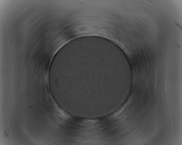 X0000091941513200709191410