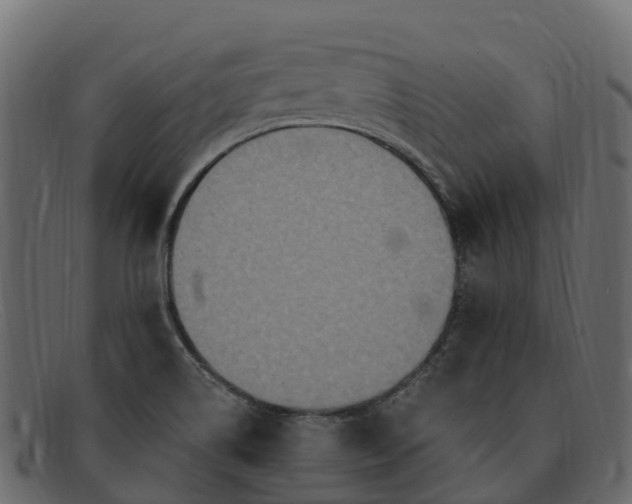 X0000091941514200709191410