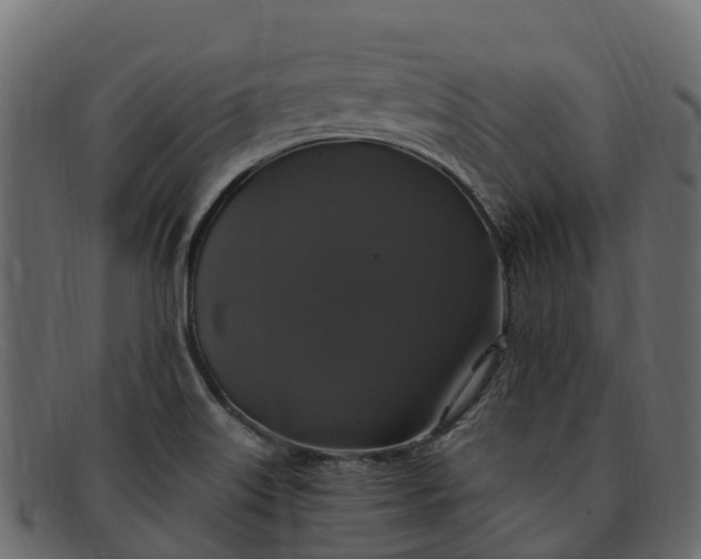 X0000091941515200709191410