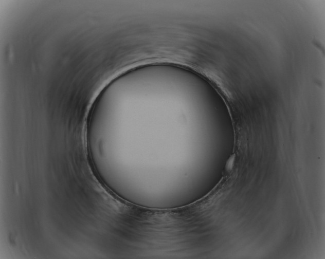 X0000091941516200709191410