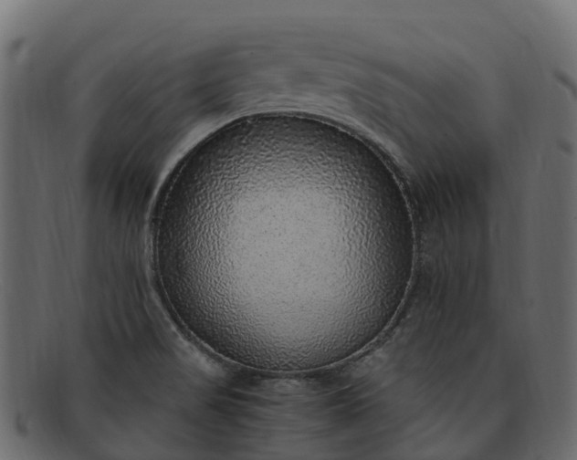 X0000091941517200709191410