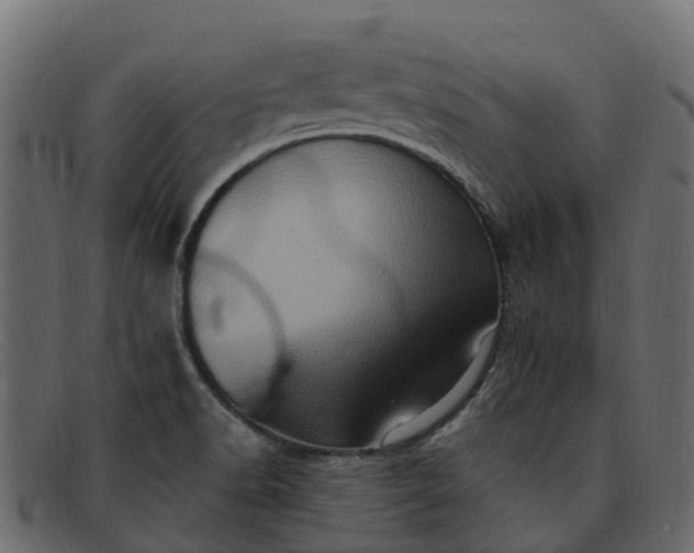 X0000091941518200709191410