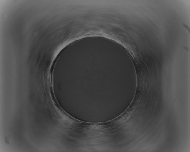 X0000091941519200709191410