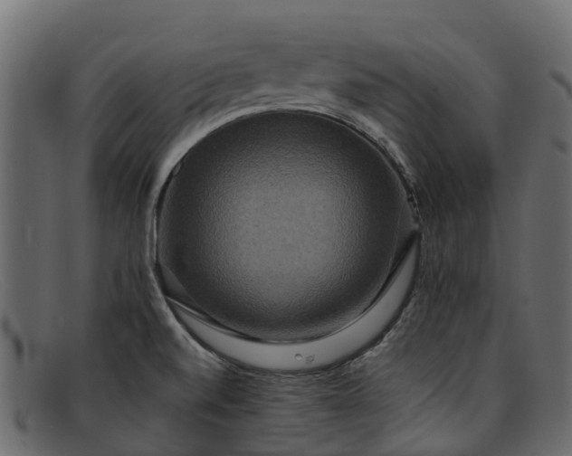 X0000091941520200709191410