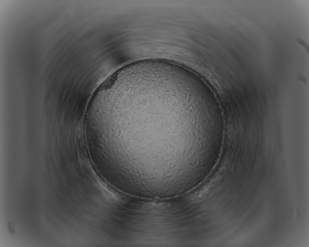 X0000091941521200709191410