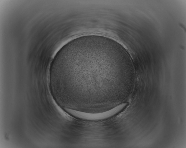 X0000091941523200709191410