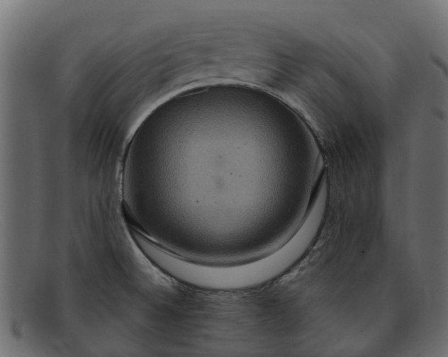 X0000091941524200709191410