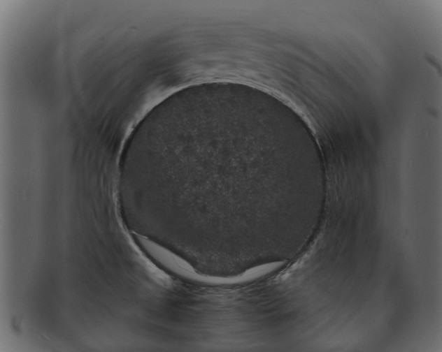 X0000091941525200709191410