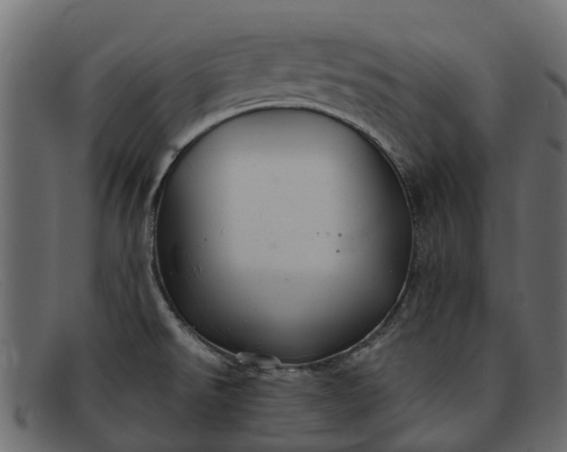 X0000091941526200709191410