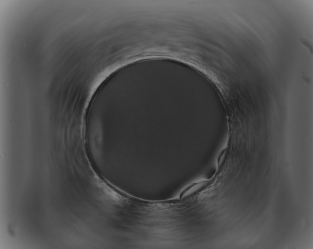 X0000091941527200709191410