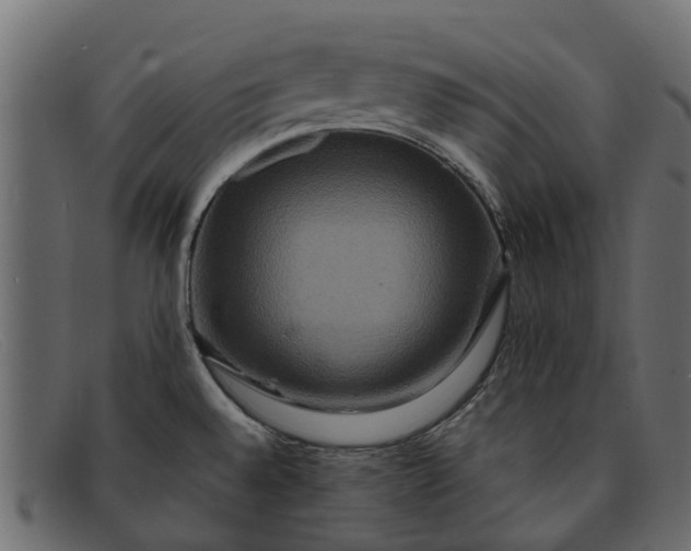 X0000091941528200709191410