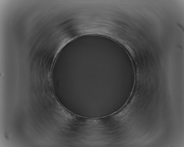 X0000091941529200709191410