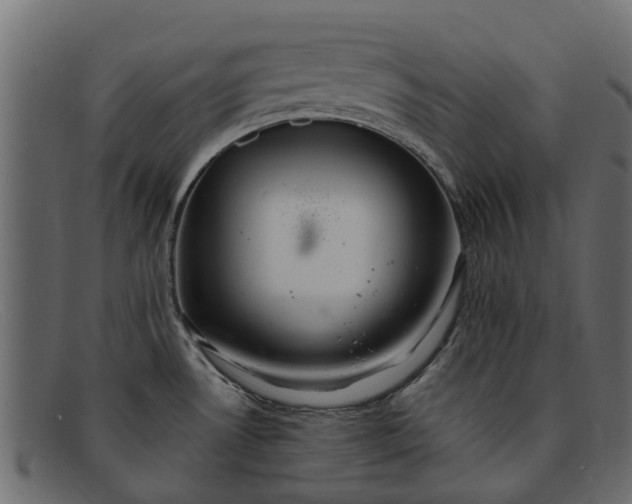 X0000091941530200709191410