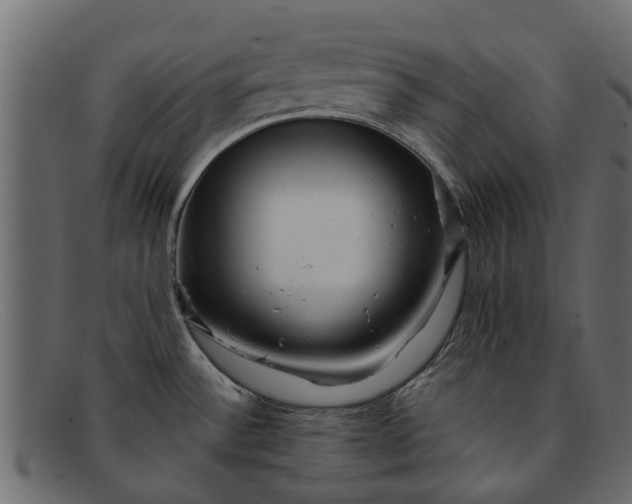 X0000091941532200709191410