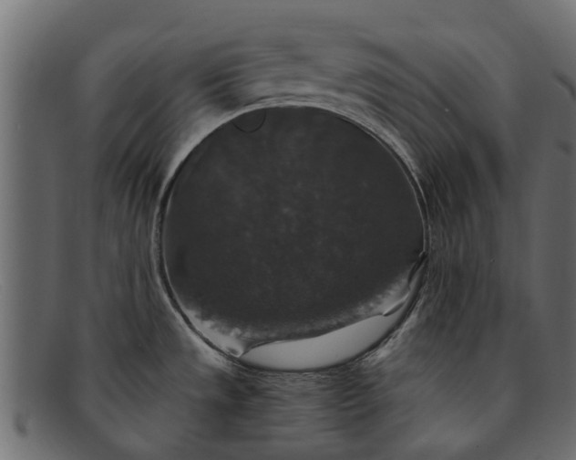 X0000091941533200709191410