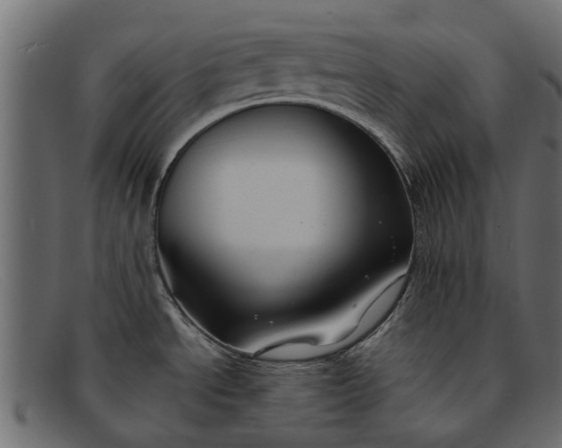 X0000091941534200709191410