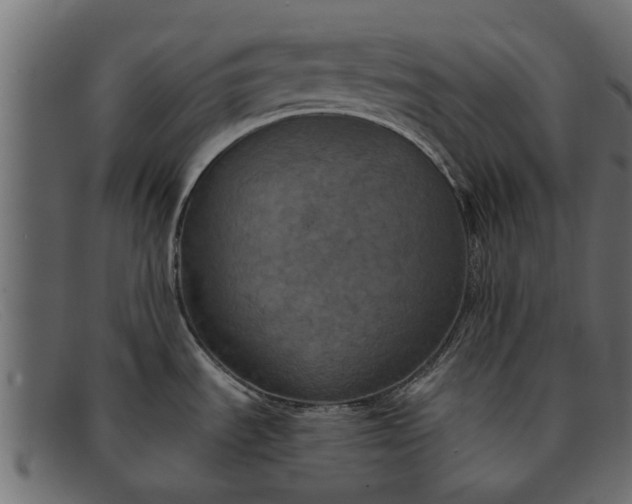 X0000091941535200709191410