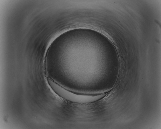 X0000091941536200709191410