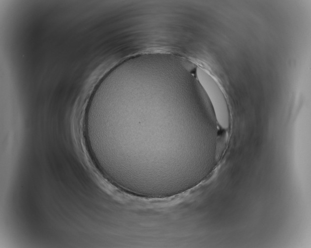 X0000091940001200709261941