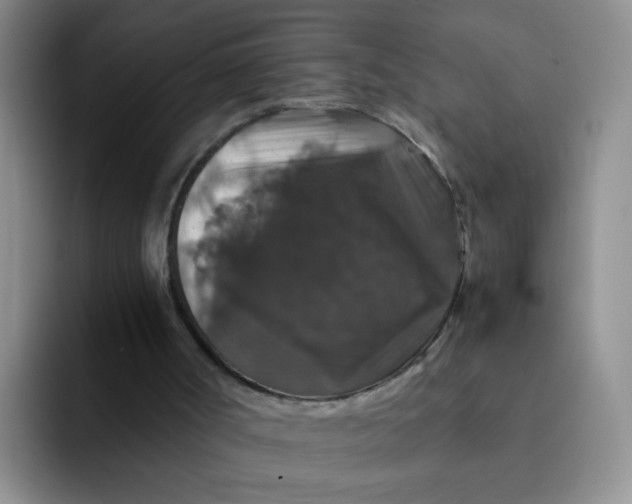 X0000091940002200709261941