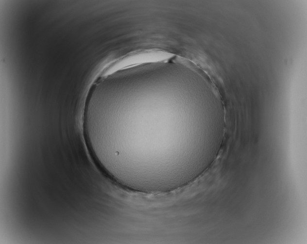 X0000091940003200709261941