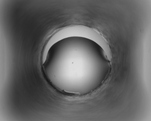 X0000091940005200709261941