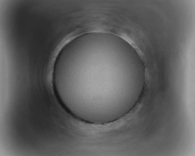 X0000091940007200709261941