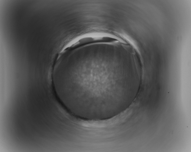 X0000091940009200709261941