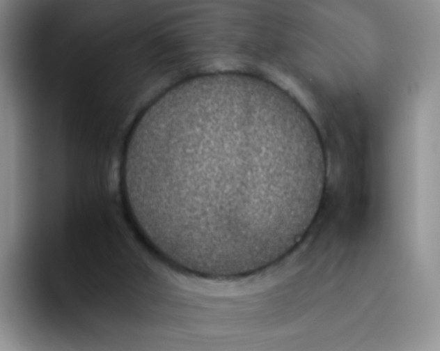 X0000091940010200709261941