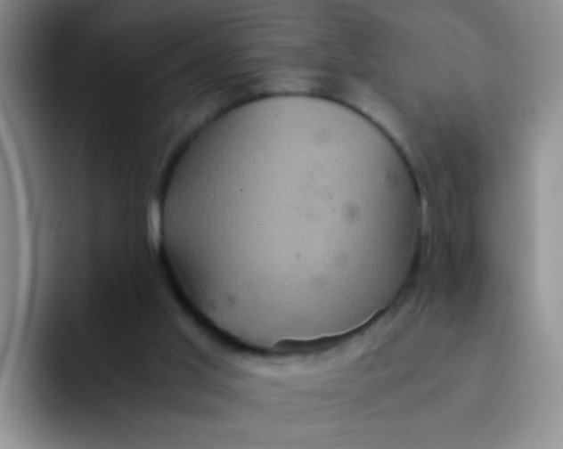 X0000091940013200709261941